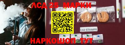 индика Беслан