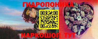 индика Беслан