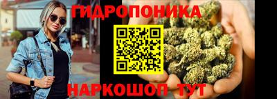 индика Беслан