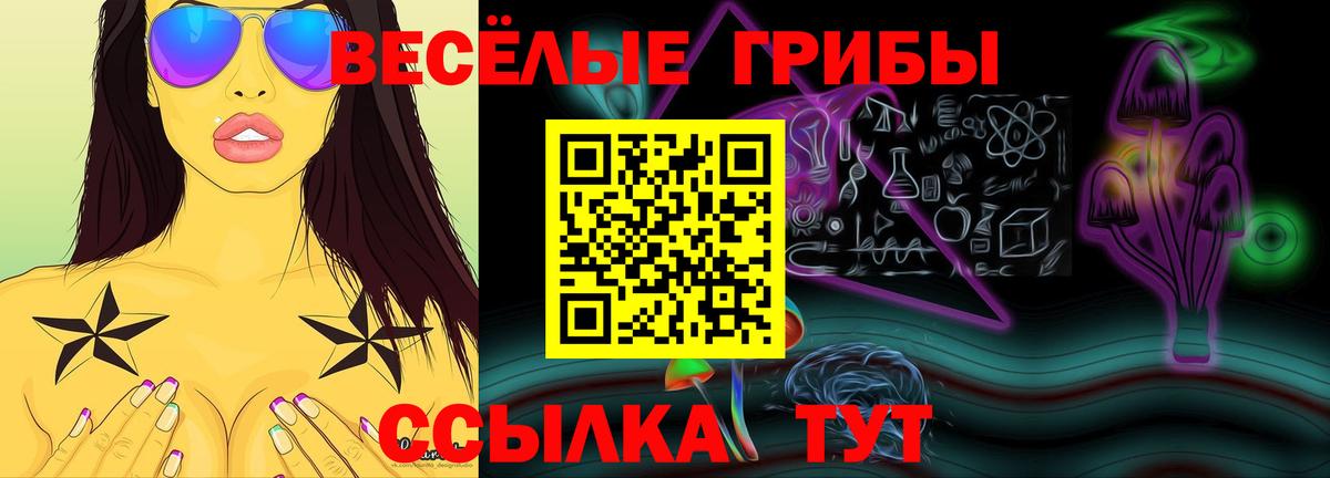 Кировск  Псилоцибиновые грибы Psilocybine cubensis  Вход с VPN 